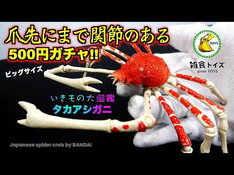World's Largest Crab】Japanese spider crab by BANDAI Action Figure