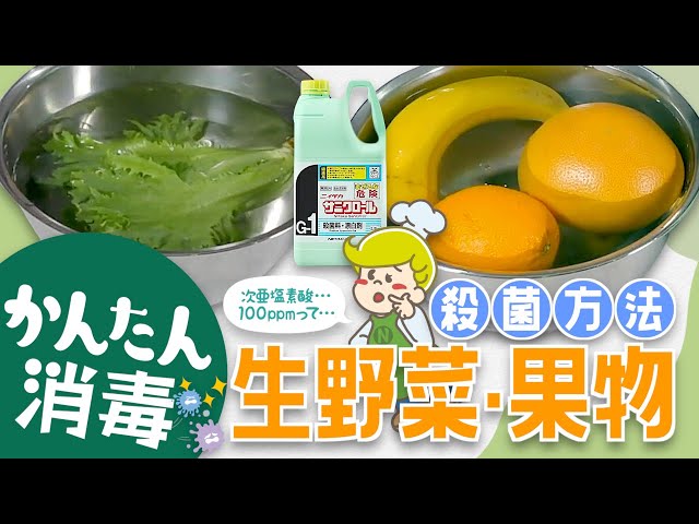 Disinfection Basics] Easily sterilize raw vegetables and fruits