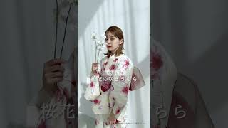 桜花の咲きうらら | Dita（ディータ）オフィシャルストア