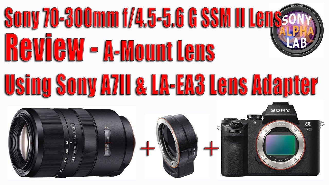 Sony 70-300mm G SSM II Lens Review Using Sony A7II Via LA-EA3 Lens