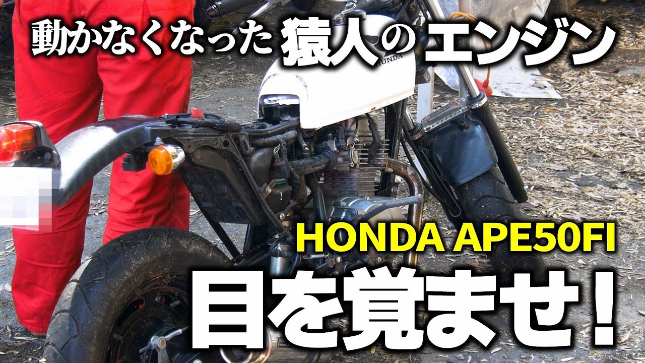 エイプ50FI】目を覚ませ！動かなくなった猿人のエンジン