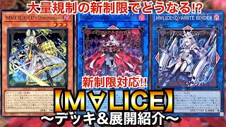 Yu-Gi-Oh!] What will happen with the new mass regulation