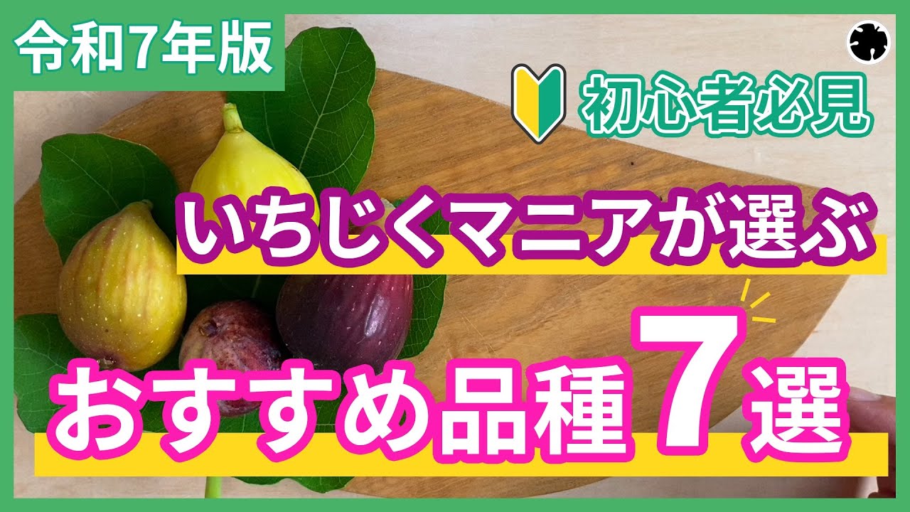 2025 Edition] 7 recommended varieties for beginners selected by