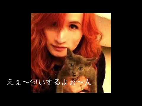 アル中猫さん（THE ALFEE中毒）ボヤきシリーズ - YouTube