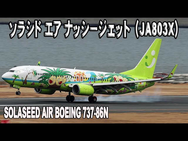 ソラシド エア ナッシージェット（JA803X）Solaseed Air Boeing 737