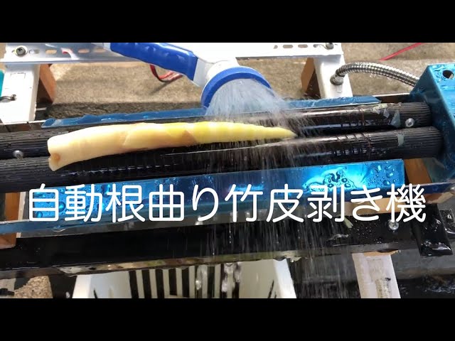 根曲り竹の子 自動皮剥き機 - YouTube