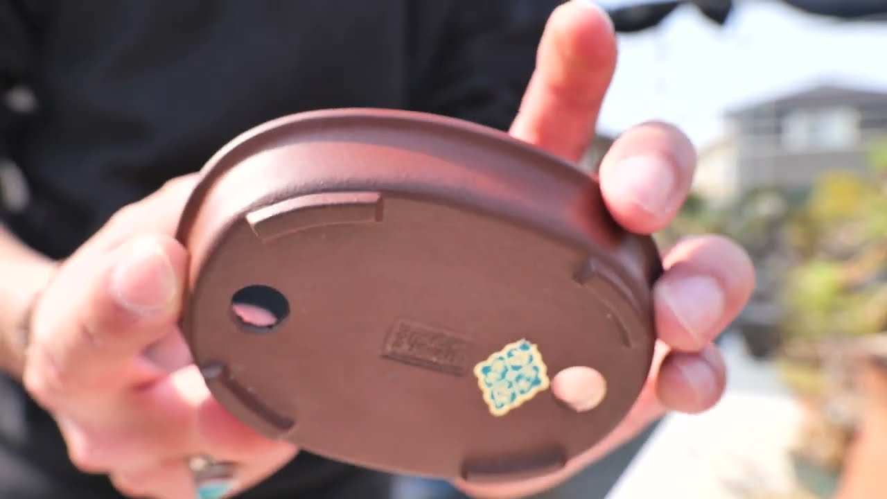 盆栽鉢紹介！山秋楕円 - YouTube