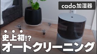 2025 Latest] cado Humidifier✨Auto-cleaning for hassle-free use! A