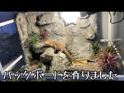 爬虫類ケージのバックボードを作りました【後半】 - YouTube