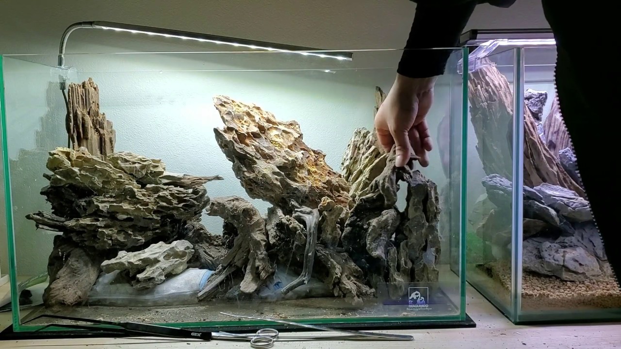 気孔石と流木Quick Layout【#夜な夜なレイアウトver】Aquascape#35