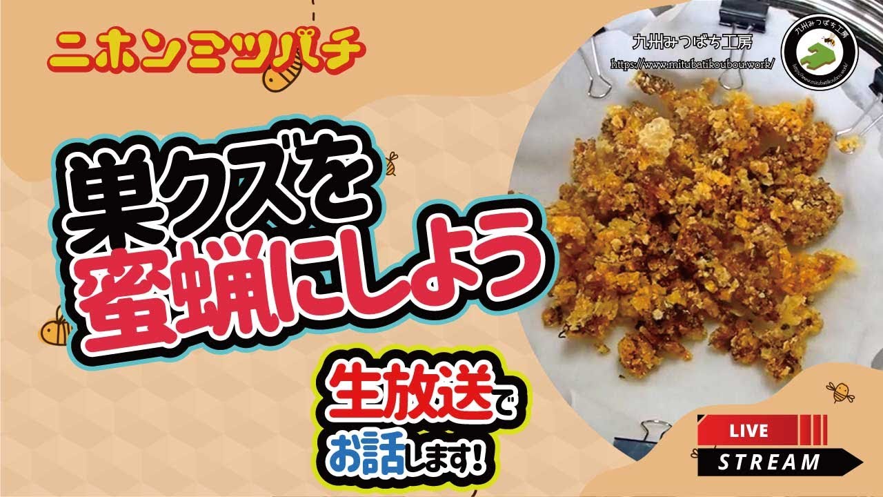 巣クズを蜜蝋にしよう【二ホンミツバチ飼育Q&A】 - YouTube