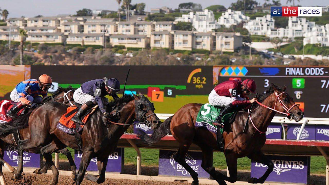 FOREVER YOUNG (フォーエバーヤング) WINS THE BREEDERS' CUP CLASSIC