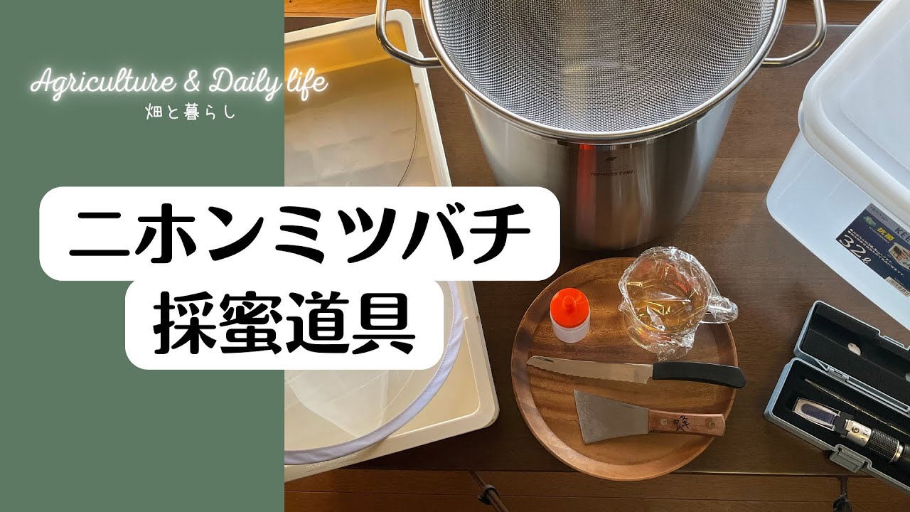 二ホンミツバチ養蜂】採蜜に使用した道具/Honeybee - YouTube