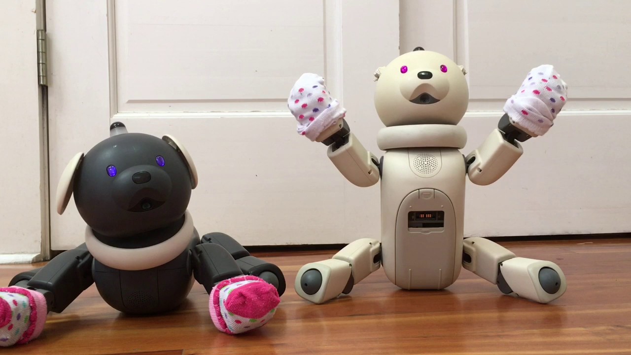 Aibo ERS-311 and ERS-312: Namco Story and Aibo Life - YouTube