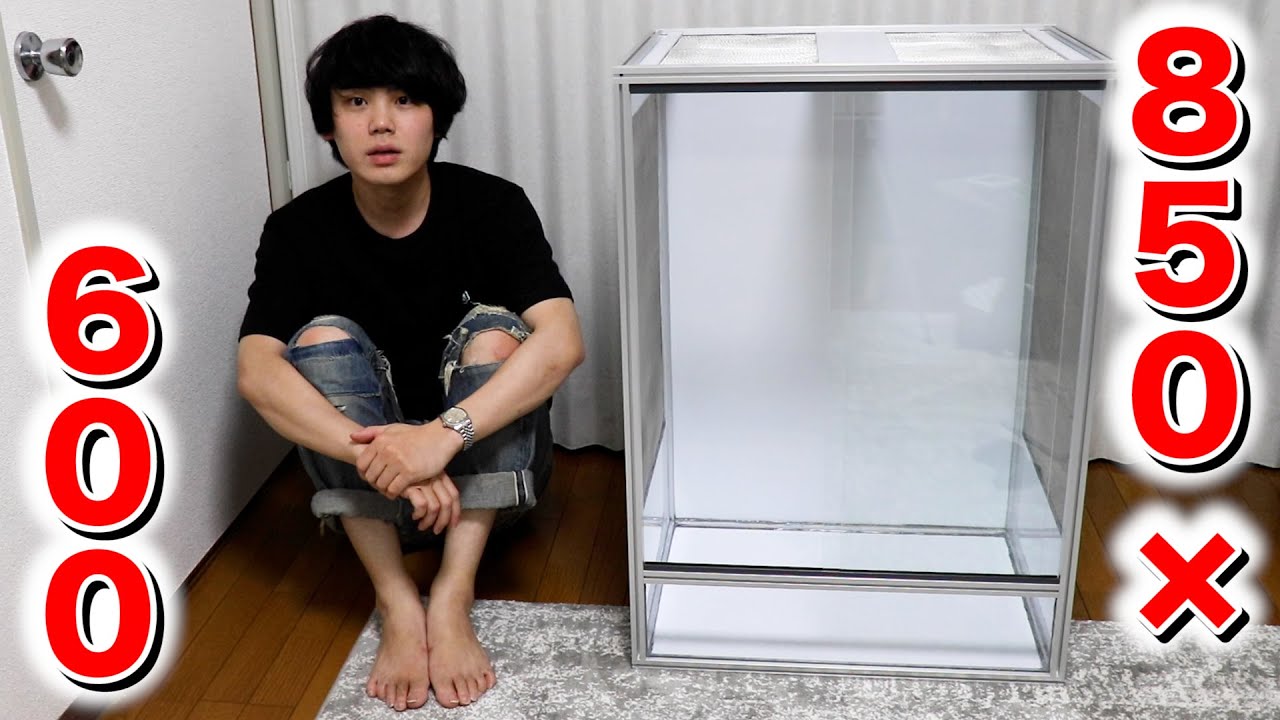 Self-made giant chameleon cage made of aluminum frame - YouTube