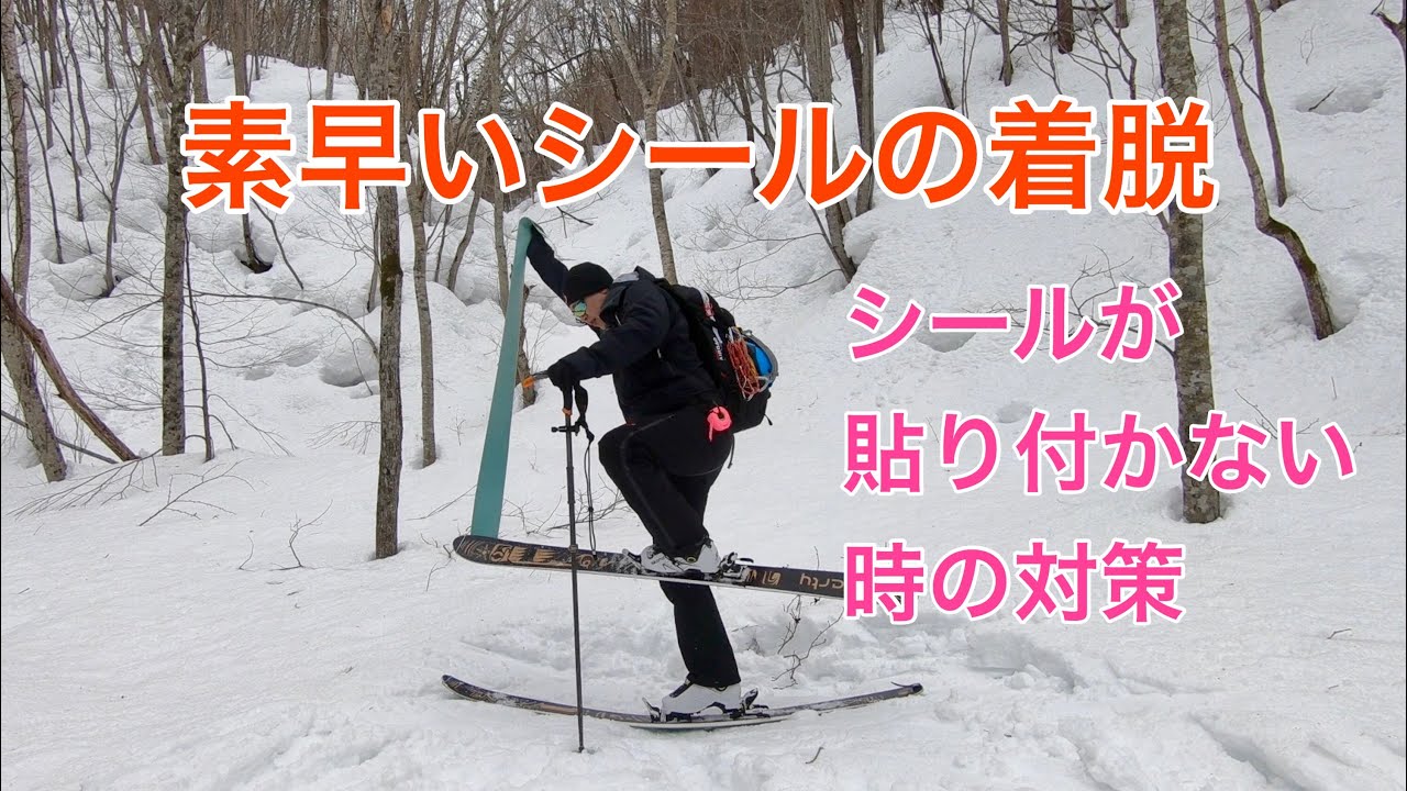 山のまこちゃん登山ブログ: 山スキー入門6.山スキーの歩き方