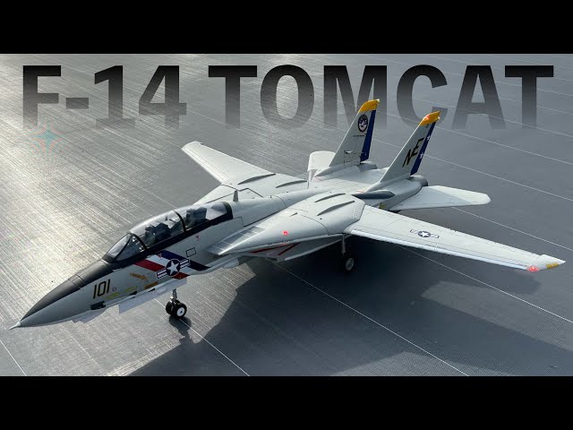 ラジコン飛行機 F-14 トムキャット 80mm Twin EDF スケールの集い