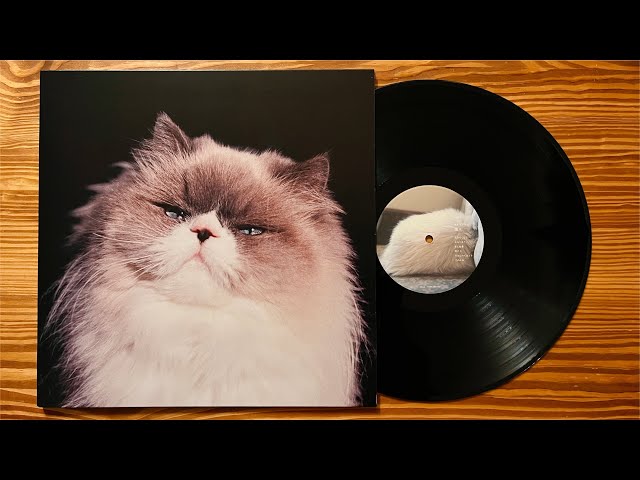 カネコアヤノ「燦々」Kaneko Ayano full album 2019 レコード VINYL