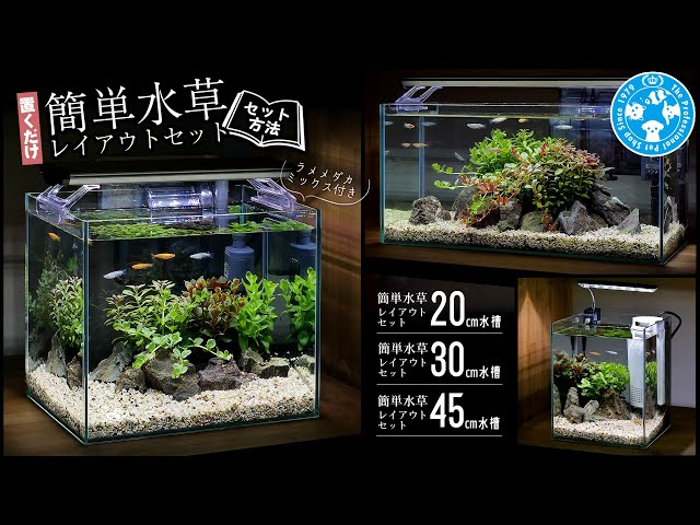 簡単水草レイアウトセット【セット方法】 - YouTube