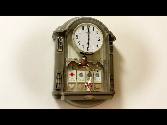 A cute rabbit tells you the weather. Small World Weather DX