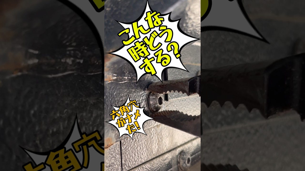 クニペックス スリップジョイントプライヤーツイングリップ 8202-200SB