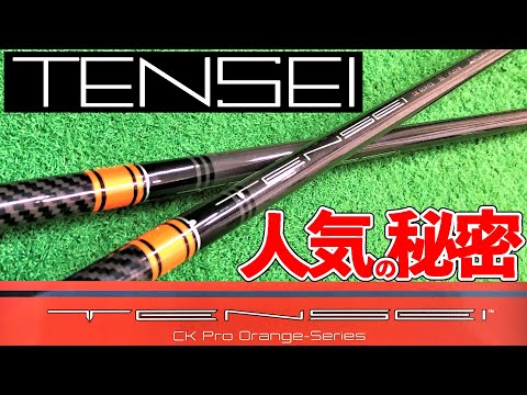 Domestic Model TENSEI] A Thorough Review of the TENSEI CK Pro