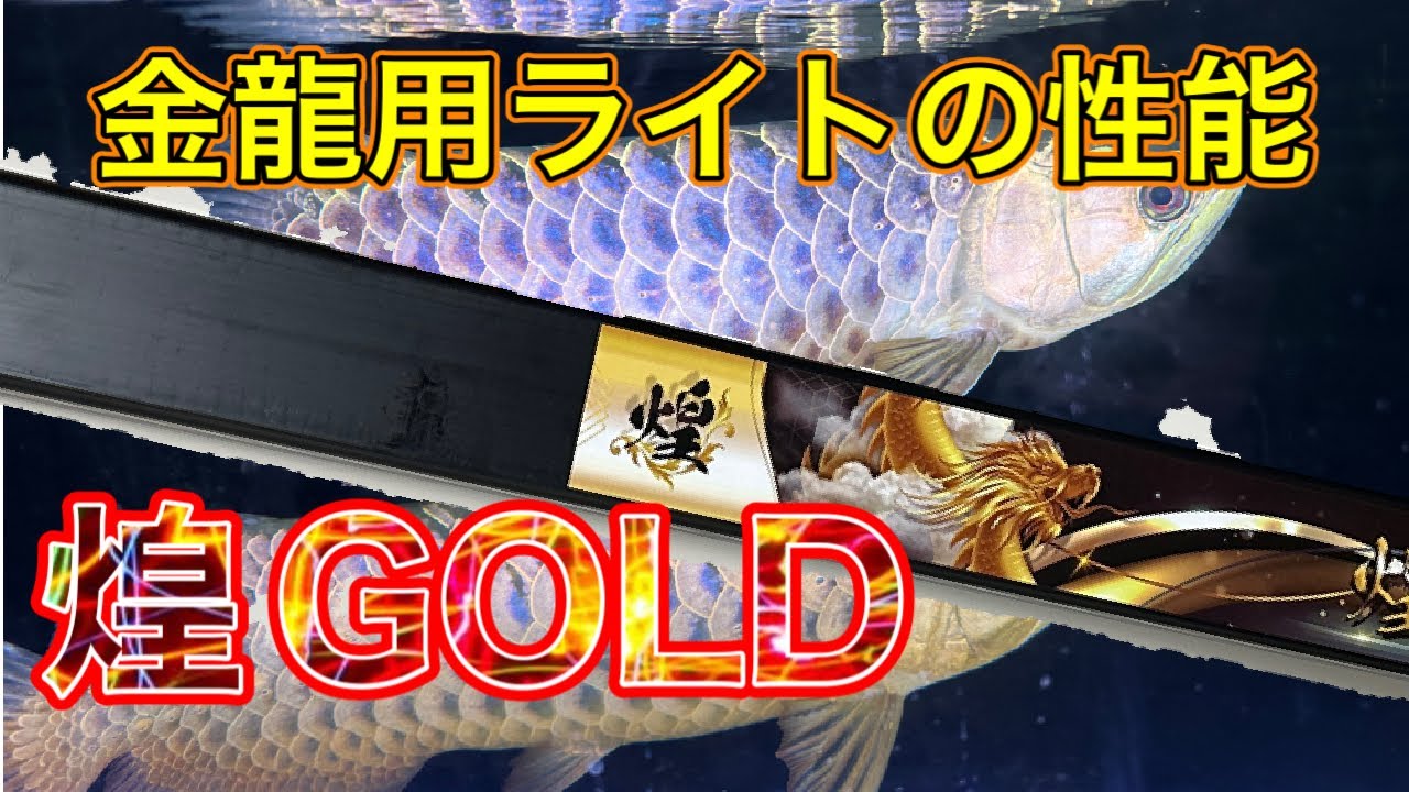 これはおススメできる！金龍用LEDライト【煌GOLD】の性能をレビュー