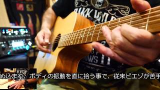 Cole Clark / CCFL1EC-BB 【FAT LADYシリーズ】【Bunya Top/Tasmanian
