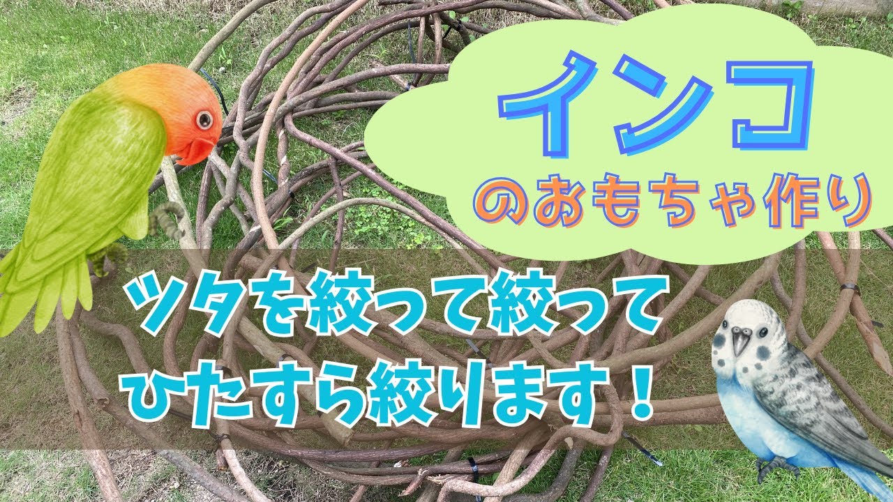 展示用】自然木（ツタ）と螺旋階段のぐるぐるバードアスレチック