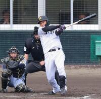 侍ジャパン入り阪神・中野 決意の背番号「7」 佐藤輝からメッセージに