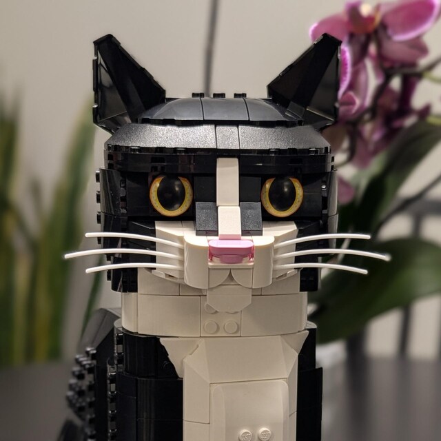 Whiskers for LEGO 21349 Tuxedo Cat / 21376 Orange Cat | the Purr