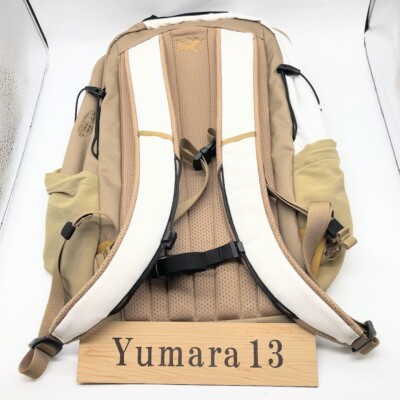 ARC'TERYX x BEAMS Mantis 26L Backpack Nagomi New | eBay