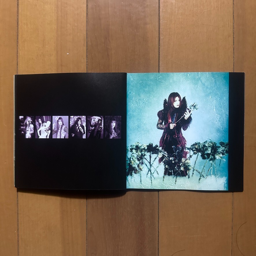 MALICE MIZER / Merveilles / 1998 Maitrize CD Album Electronic Rock