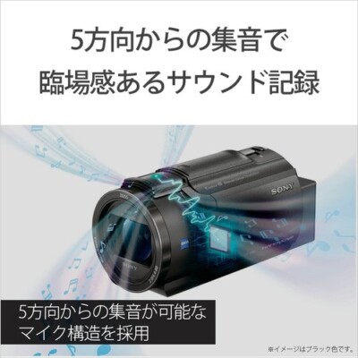ソニー FDR-AX45A TI 4Kビデオカメラ Handycam | eBay
