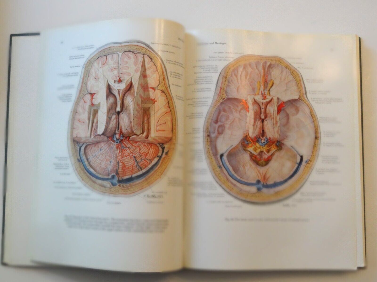 Atlas of Topographical and Applied Human Anatomy Vol. One Head