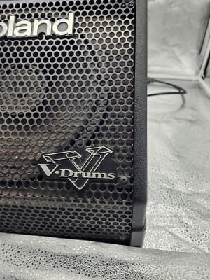 Roland PM-10 V-Drum Speaker System /Speaker Amp Amplifier | eBay