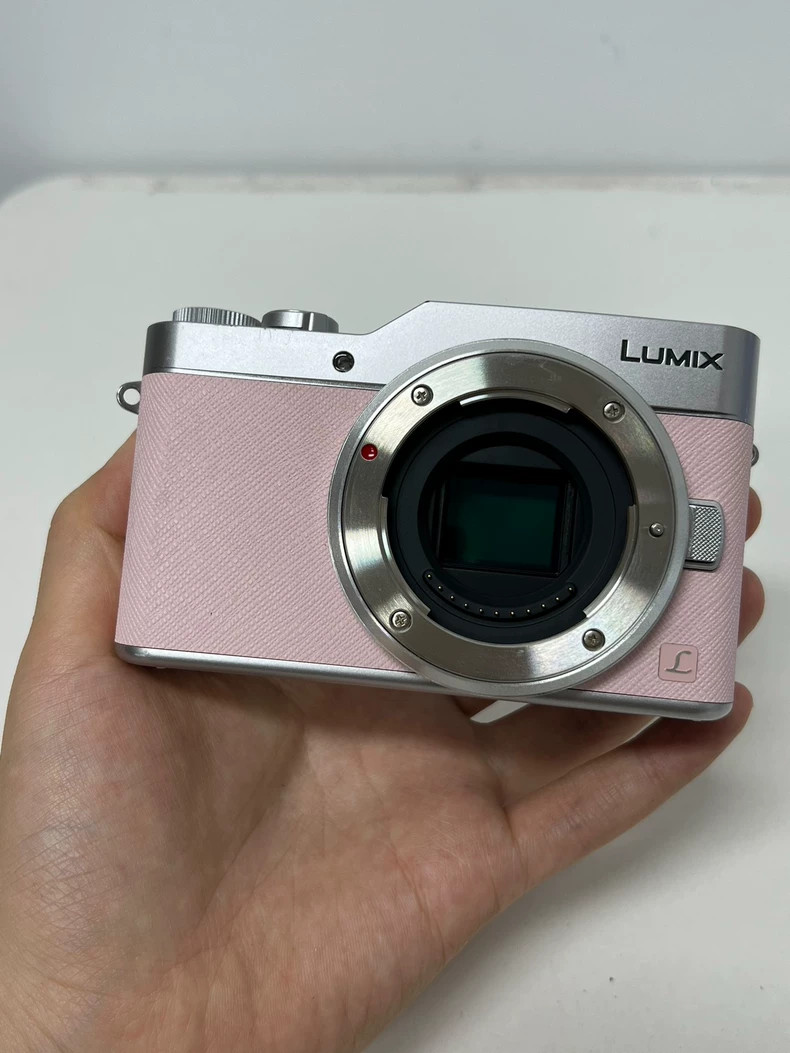 Panasonic Lumix GF9 Flip Screen WiFi Mirrorless (Micro Four Thirds