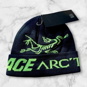 Palace Arc`teryx | eBay