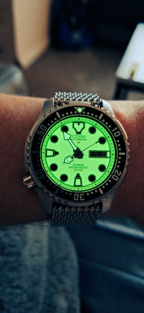 Citizen Men's Promaster Automatic Diver's Watch - NY0040-09W NEW