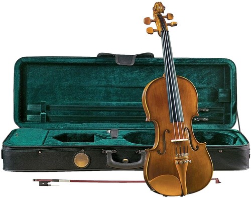 Ena Violin no.1 1/4, made in 2016 | eBay