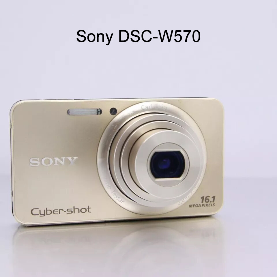 Sony Cybershot DSC-W570 16.1MP Compact Digital Camera -Pink