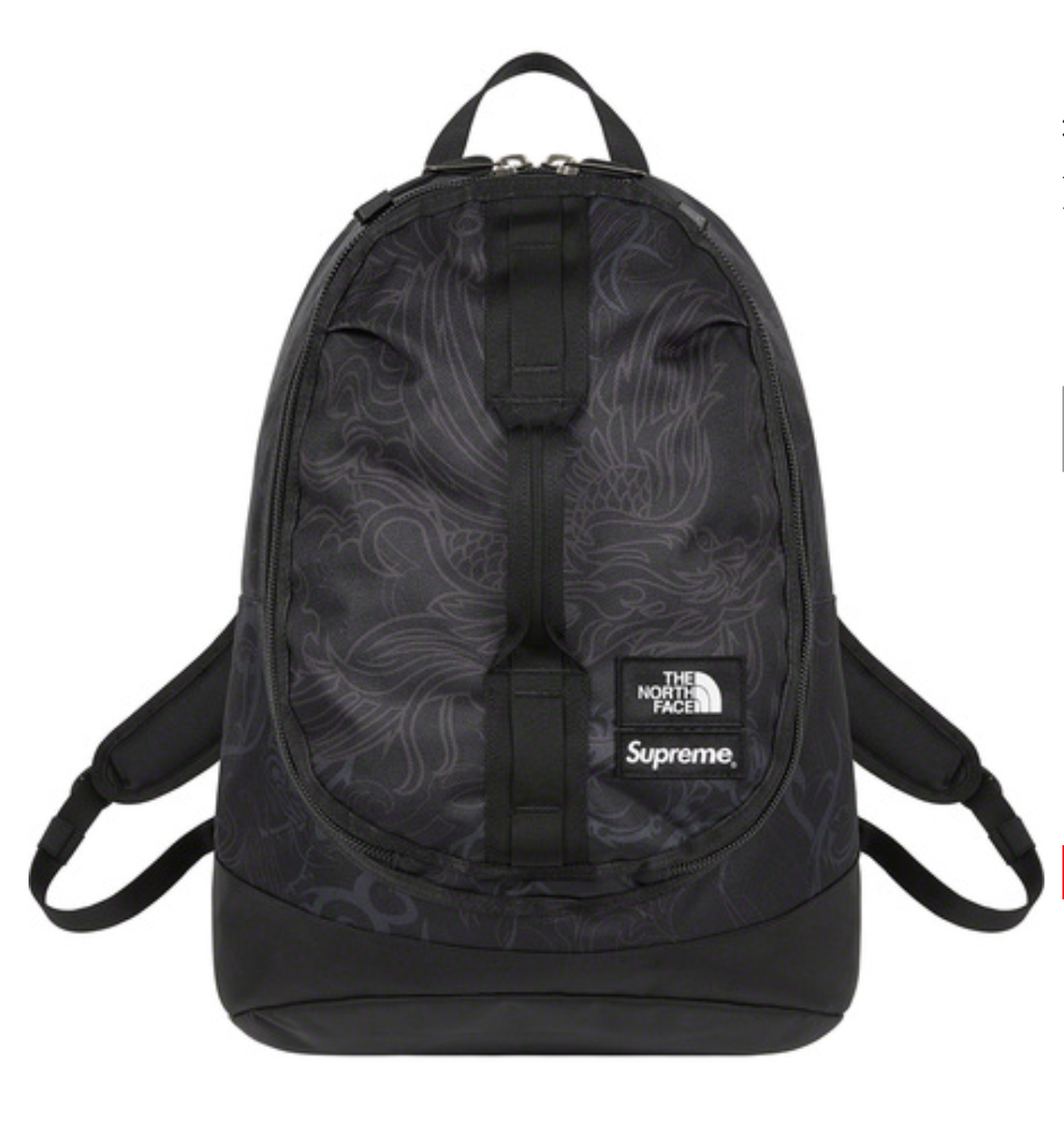 Supreme x The North Face Steep Tech Black Dragon Backpack Fall