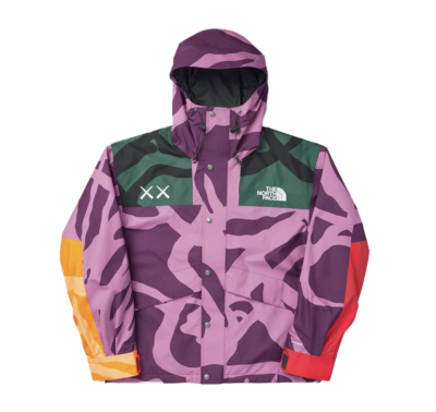 Authentic KAWS X The North Face Retro 1986 Mountain Jacket purple
