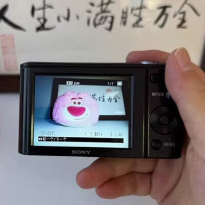 Sony Cyber-shot DSC-W800 20.1 MP 5x Optical Zoom Digital Camera