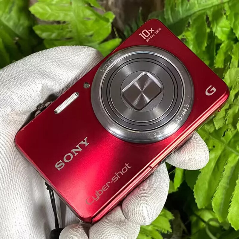 Sony Cyber-shot DSC-WX150 10X Optical Zoom 18.2MP Digital Camera