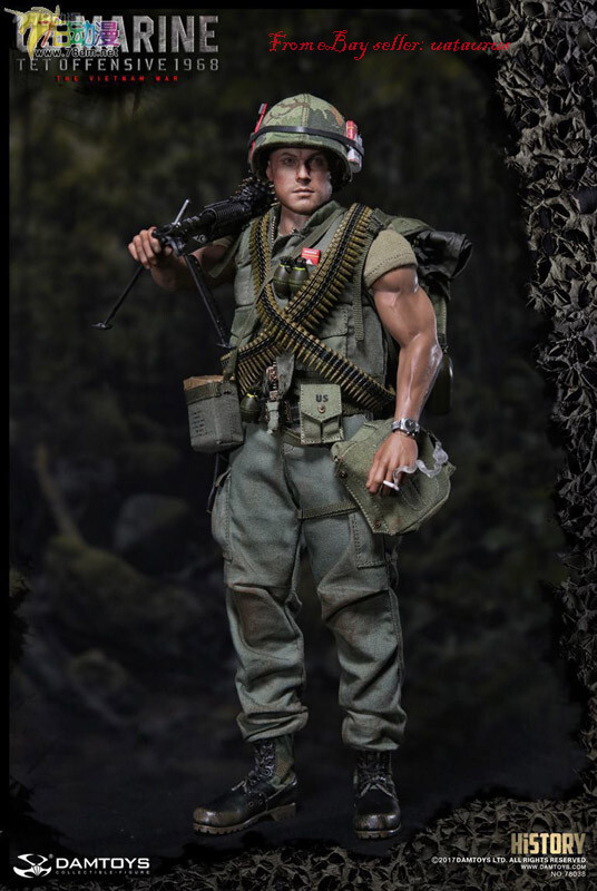 Damtoys 78038 History Series 1/6 U.S.Marine (Tet Offensive,1968