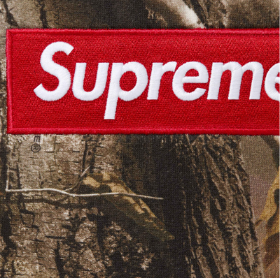 Supreme Box Logo Hooded Sweatshirt (FW25) Realtree AP Camo IN HAND