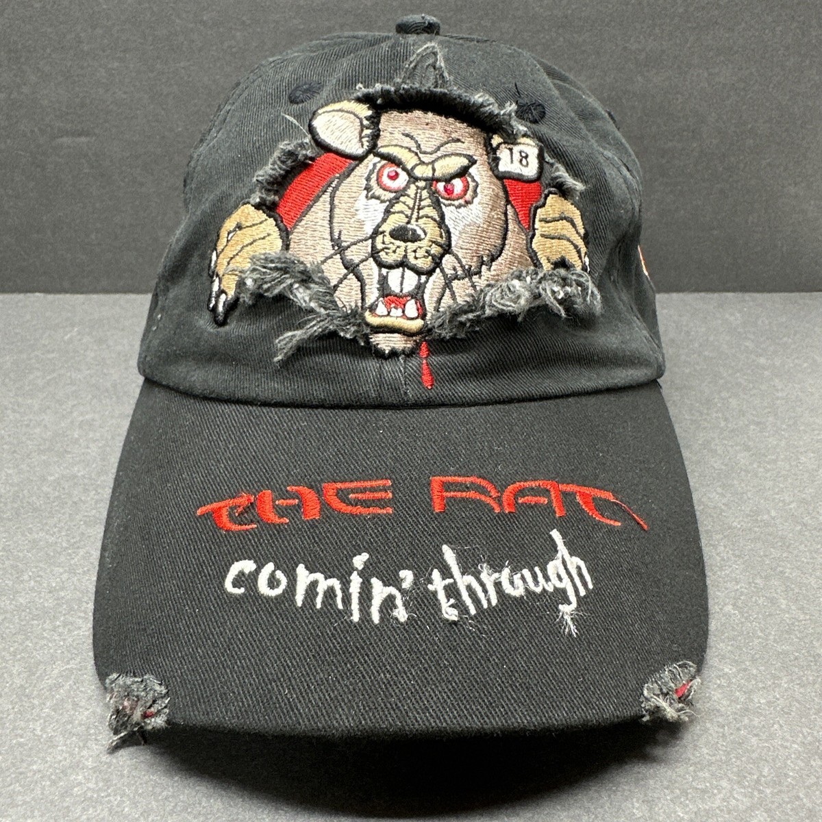 Paul Radisich The Rat Comin Through Ford Shell Helix Racing