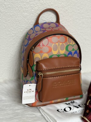 Coach Charter Backpack 18 In Rainbow Signature Canvas NWT CJ878 | eBay