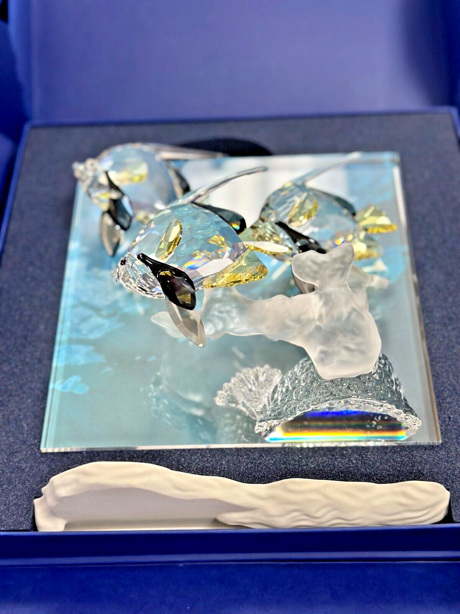 スワロフスキー 2006年 ワンダー・オブ・ザ・シー エタニティー SCS